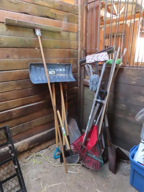 Lot - Yard Tools Including Rakes, Shovels, Lawn Edger, Shovels, etc. *Located at Spruce Grove location.