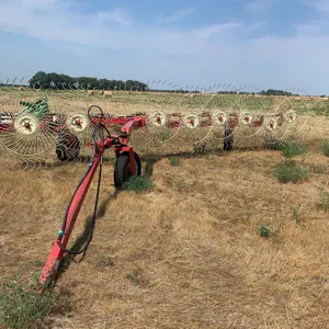 Tonutti T9 Wheel Rake