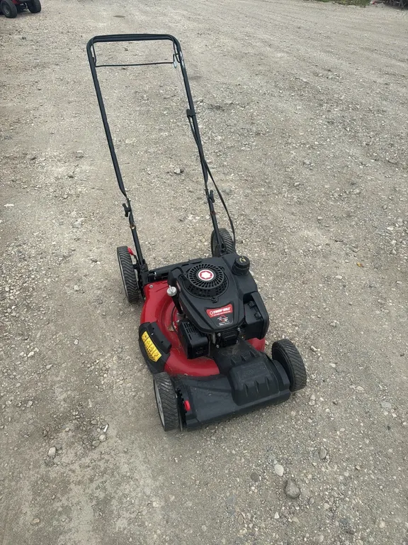 Push mower said to start but not stay running