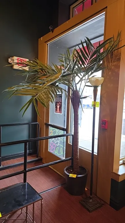 Faux palm tree. Features realistic palm fronds and textured trunk. Potted in a dark round planter. 8'H. Floor lamp and background items not included.