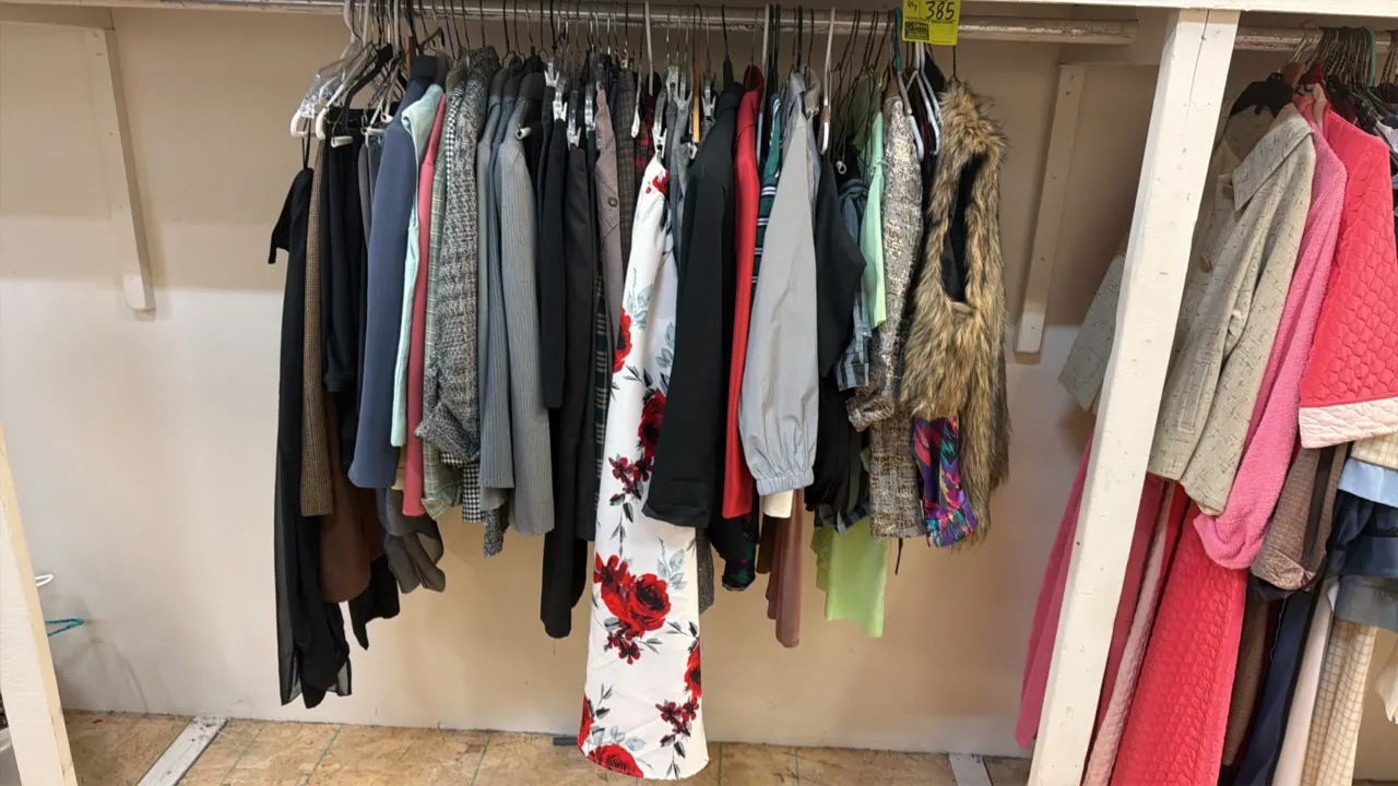 Assorted lot of hanging apparel. Includes a variety of dresses, blazers, jackets, tops, and a faux fur vest in assorted styles and colors. Racking str