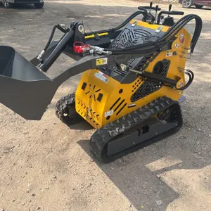 SDLANCH SSL 60 skid steer loader. Stand on platform. Gas engine.
