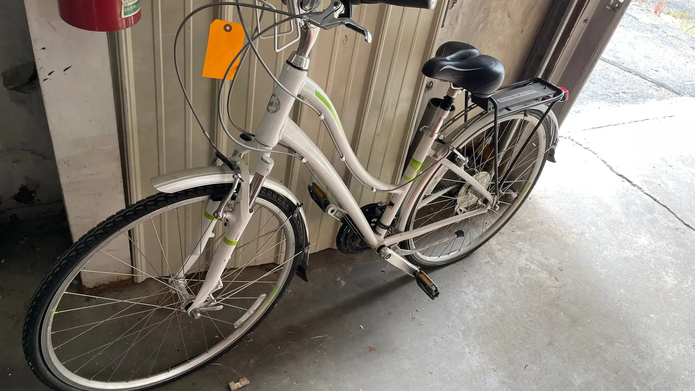 Women's Giant Bicycle