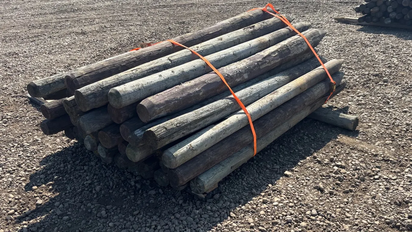 Assorted Qty of Fence Posts