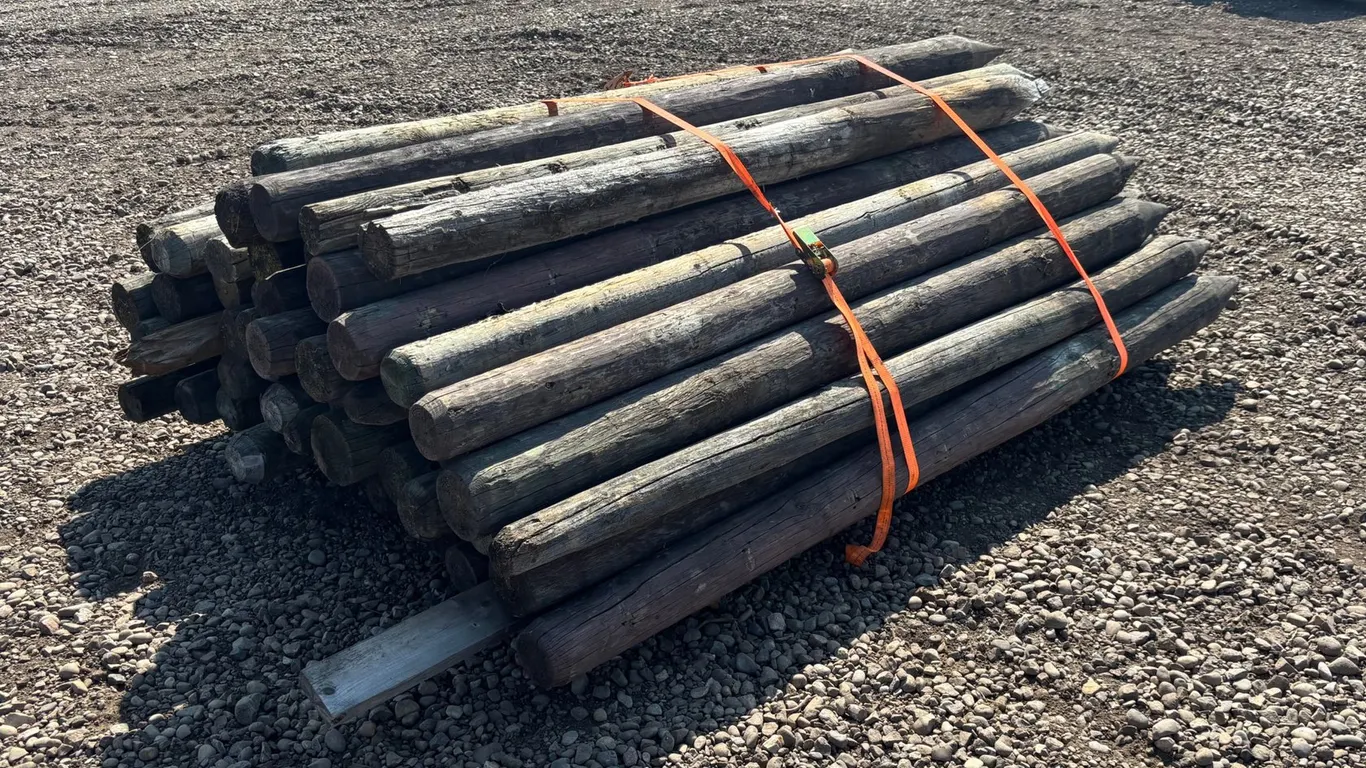 Assorted Qty of Fence Posts