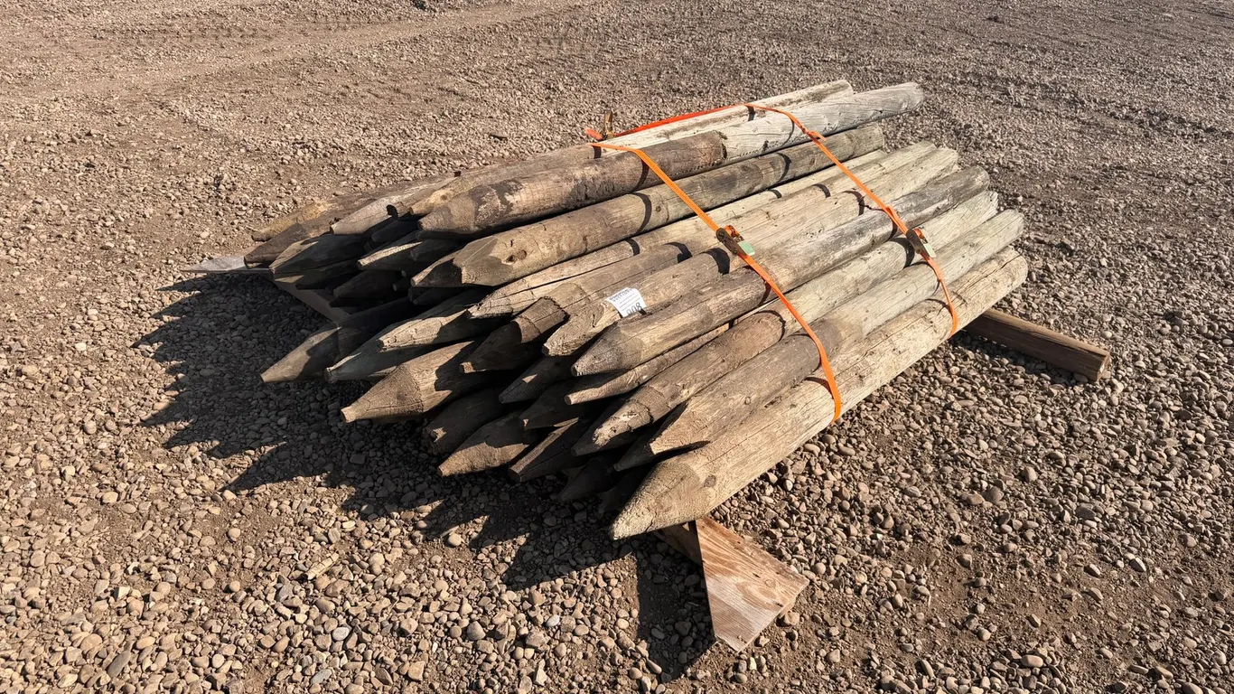 Assorted Qty of Fence Posts