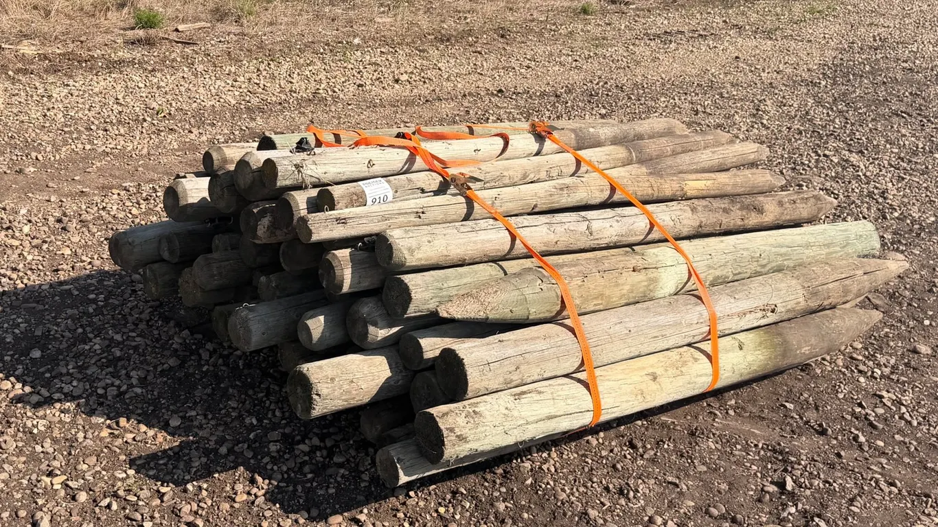 Assorted Qty of Fence Posts