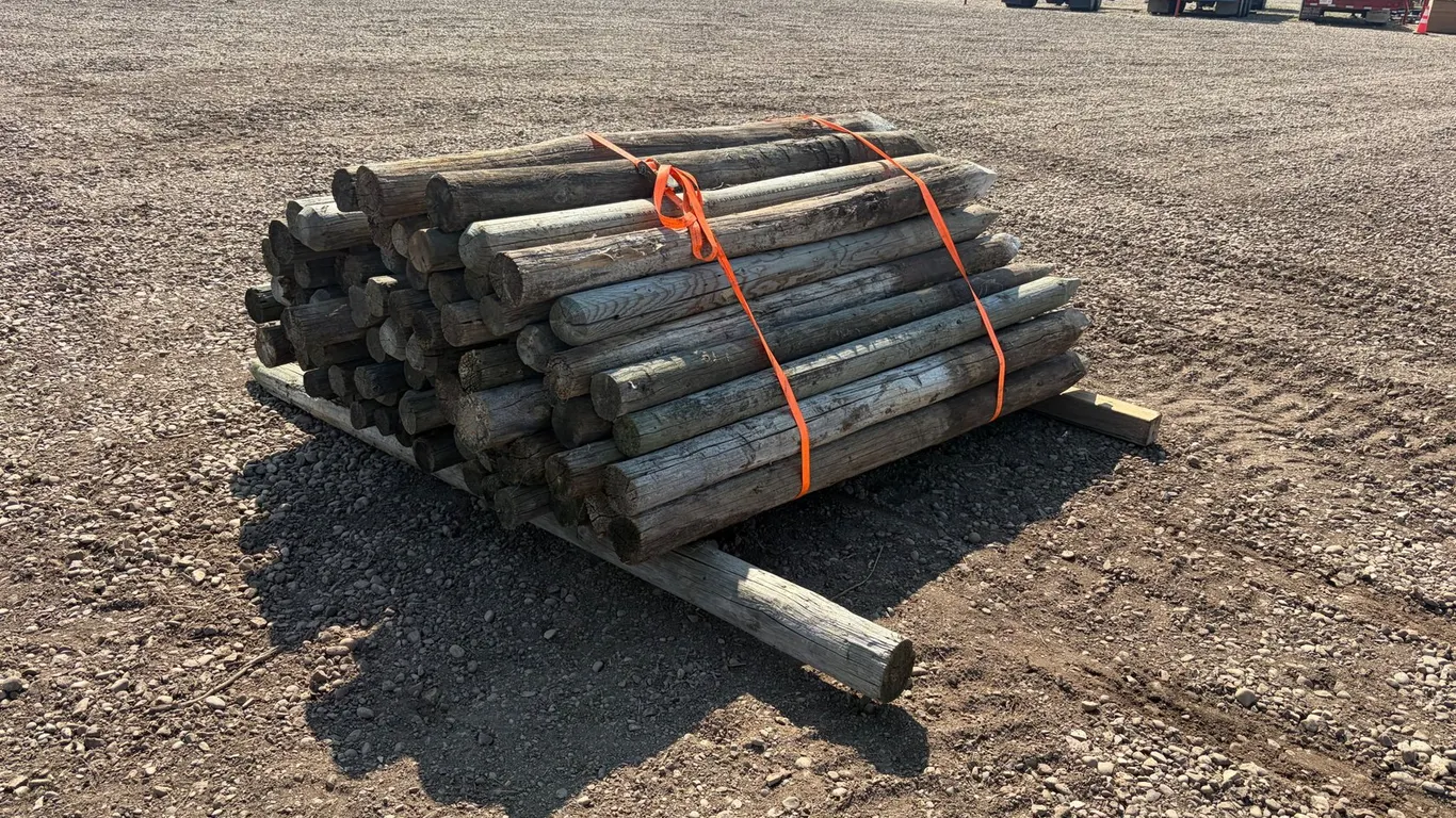 Assorted Qty of Fence Posts