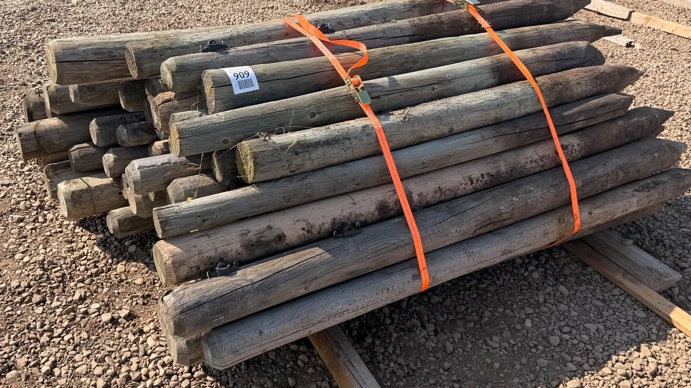 Assorted Qty of Fence Posts