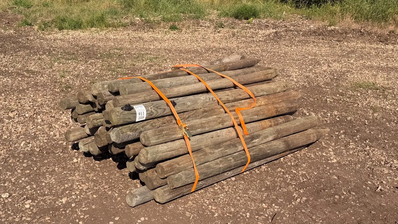 Assorted Qty of Fence Posts