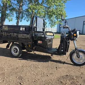 Lot 98