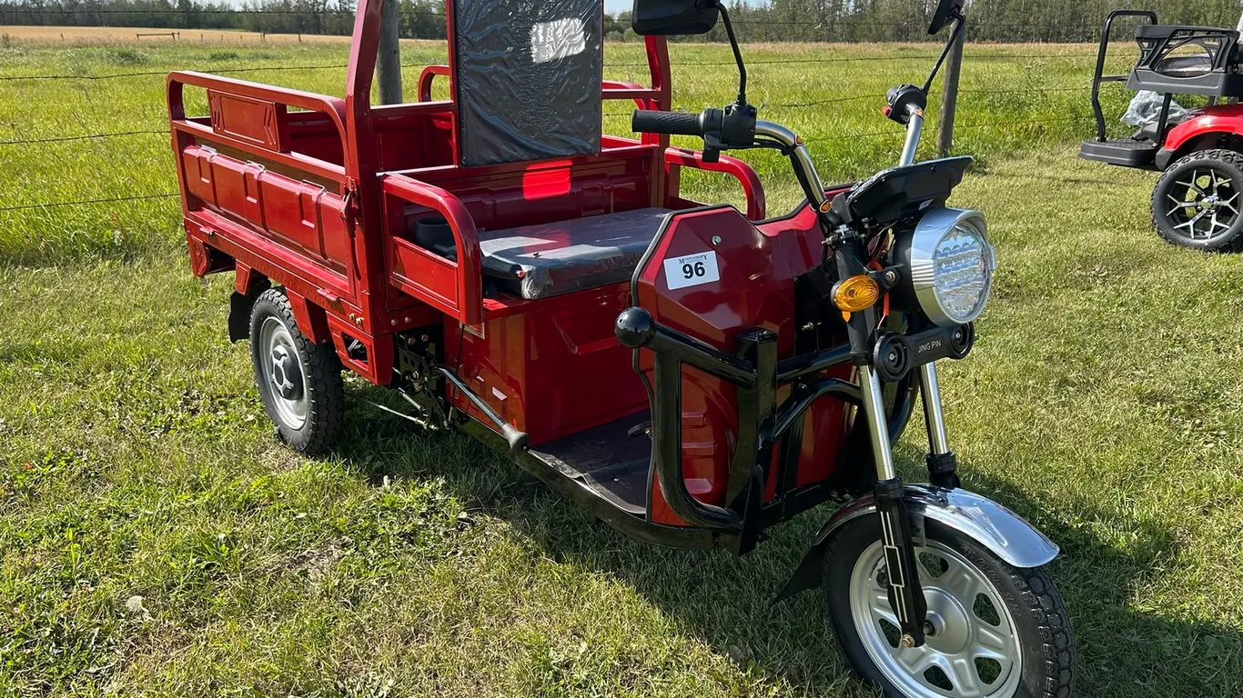 IRET13 NEW ELECTRIC TRICYCLE