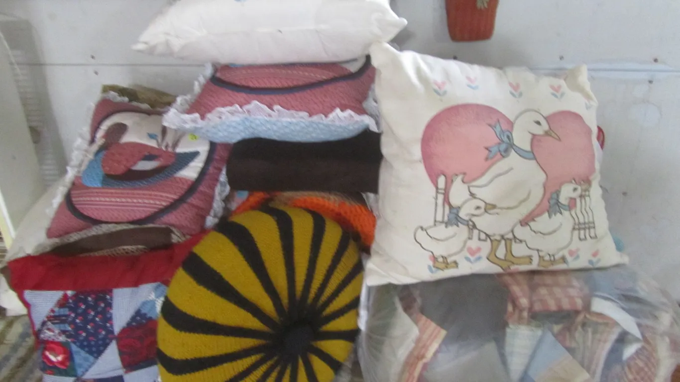 Lot Of Throw Pillows And Fabrics
