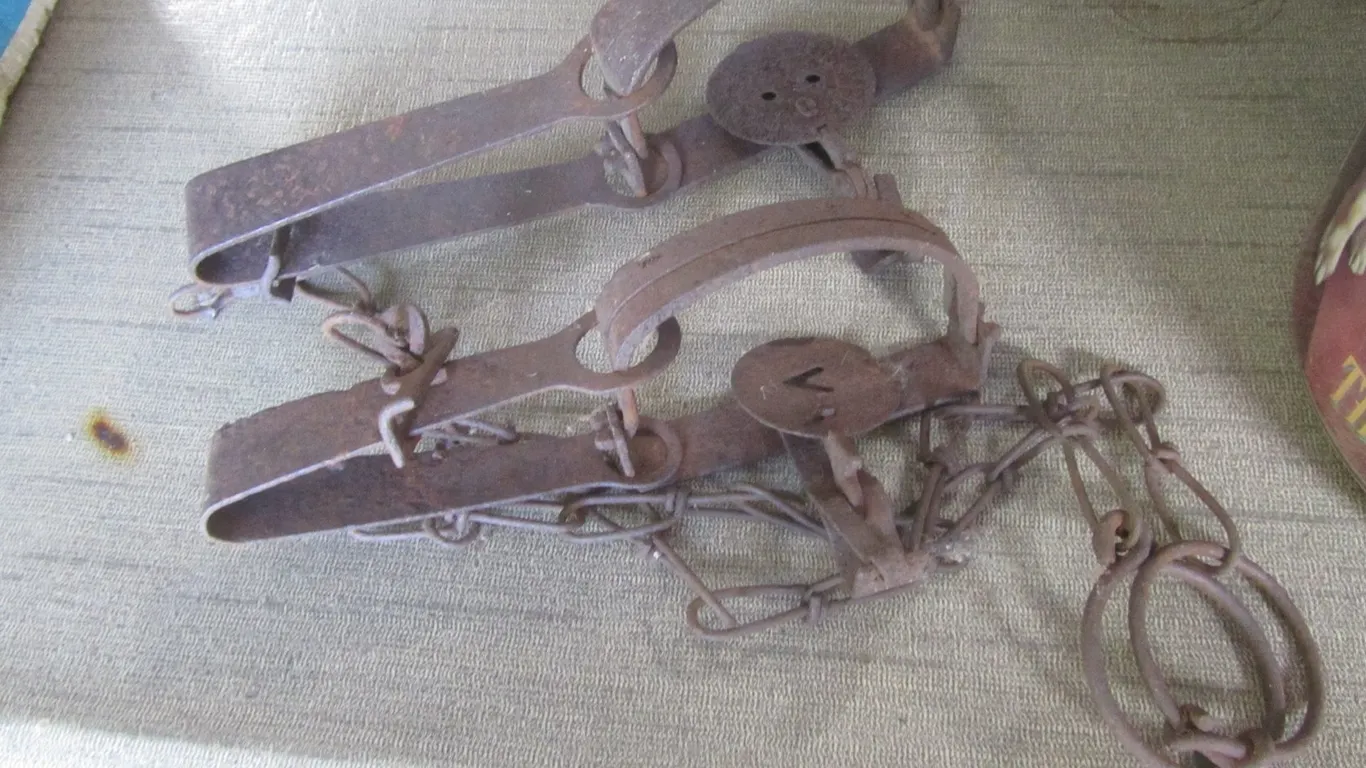 (2) Vintage Animal Traps