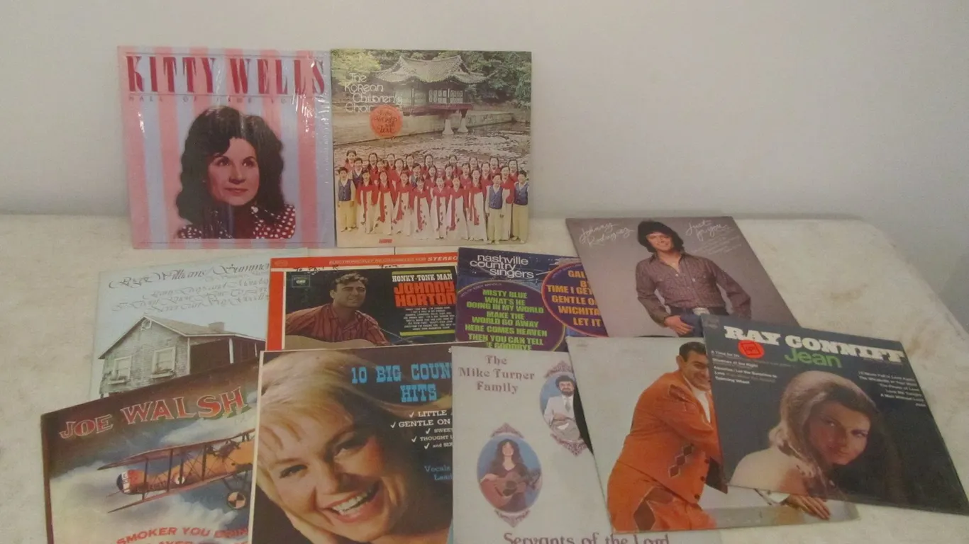(14) Assorted Vinyl Records