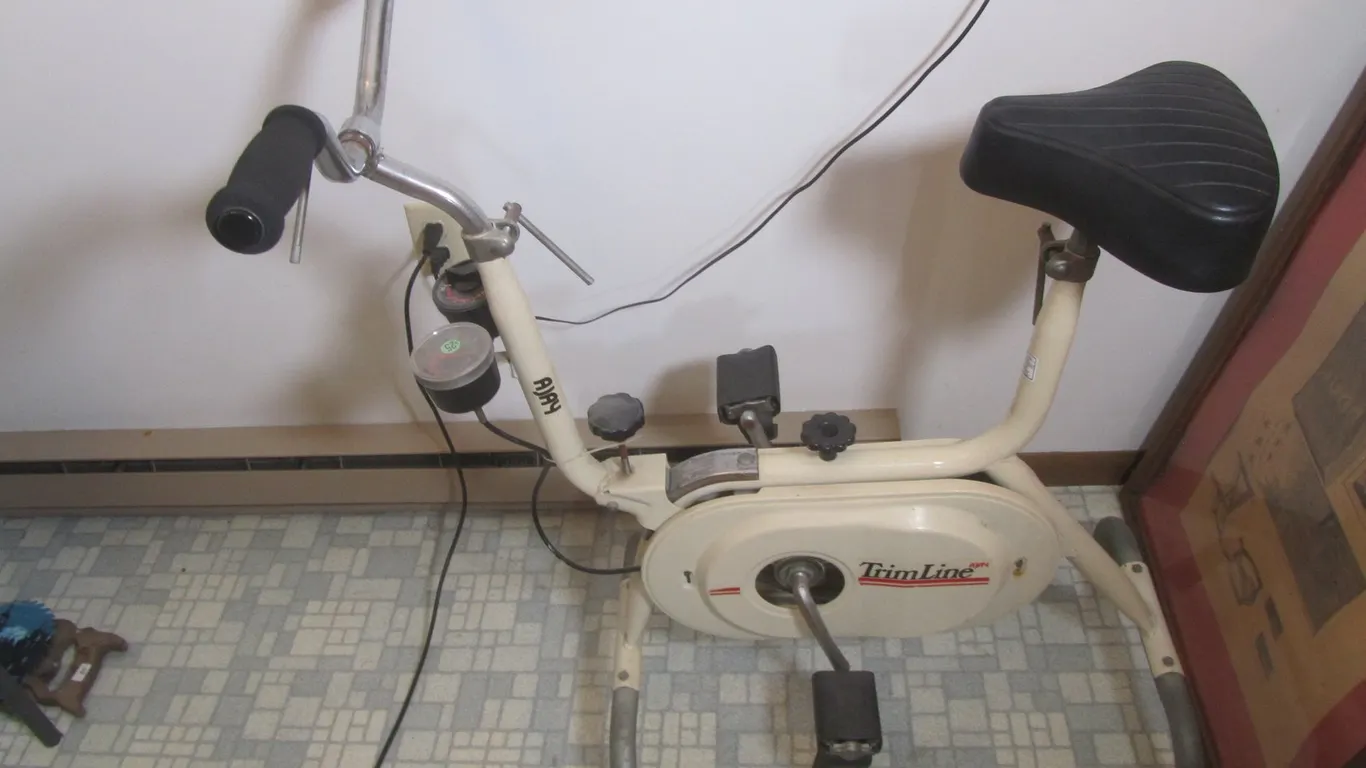 Ajay TrimLine Stationary Bike
