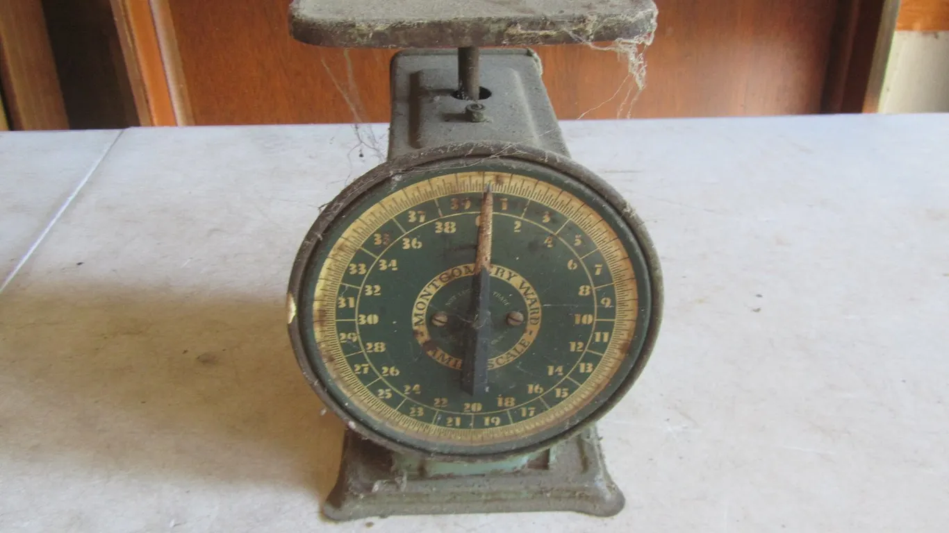 Vintage Montgomery Ward Family Scale