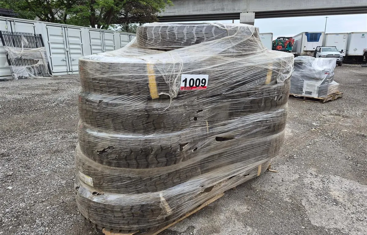 Roadlux R303 10.00R20 Steel Radial Tires
UNRESERVED