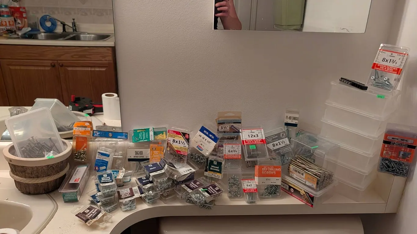 Screws, Nuts, Hooks, and Storage Containers Lot