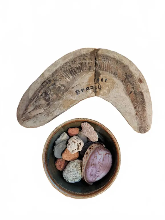 Fossil and Specimen Collection Including 1987 Brazil Fish Fossil