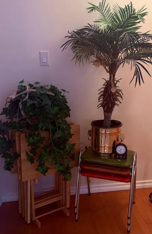 Home Furnishings with Artificial Plants and Stacking Tables