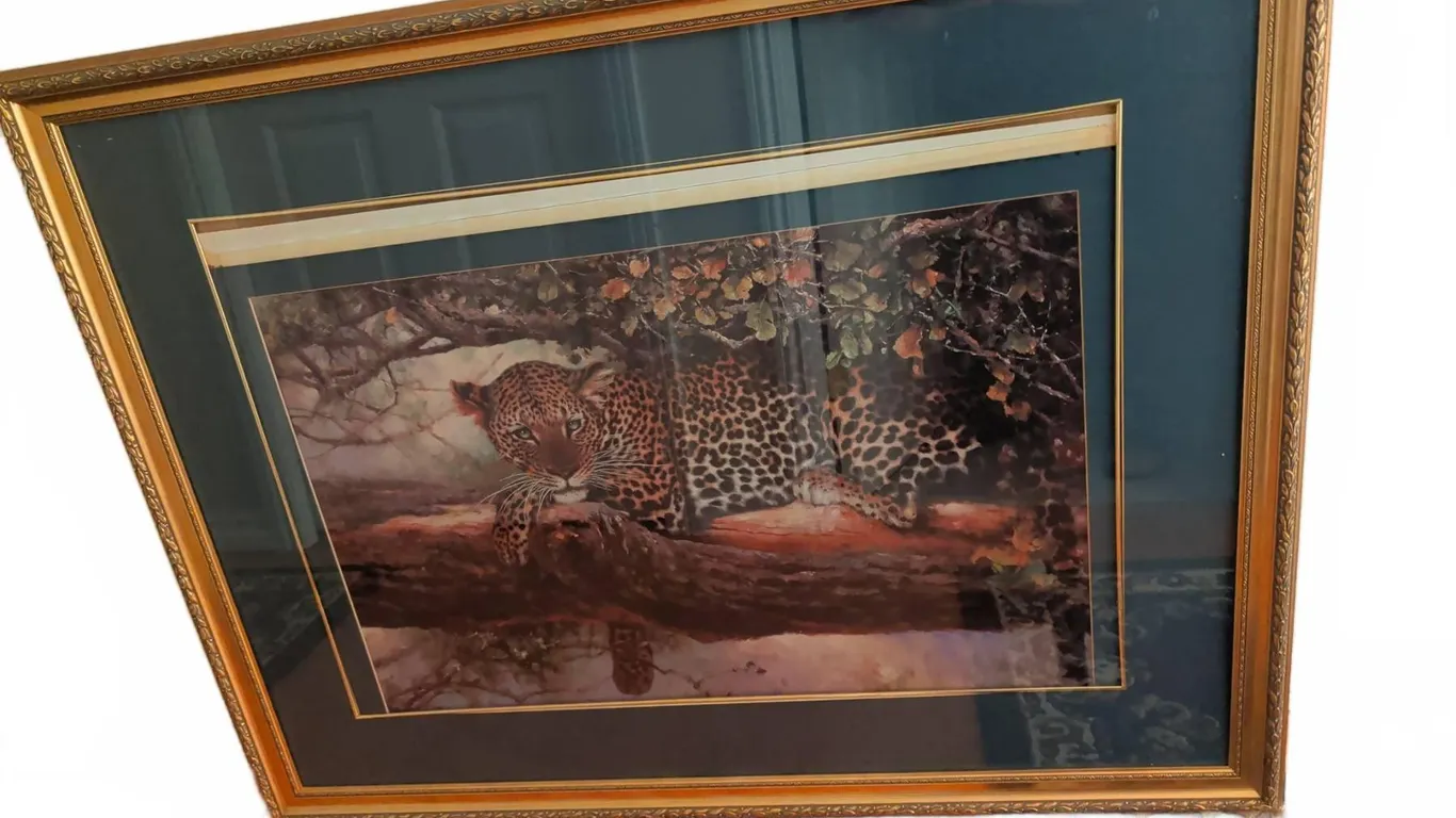Framed Leopard Wildlife Art Print With Matting, 36 Inches Wide
