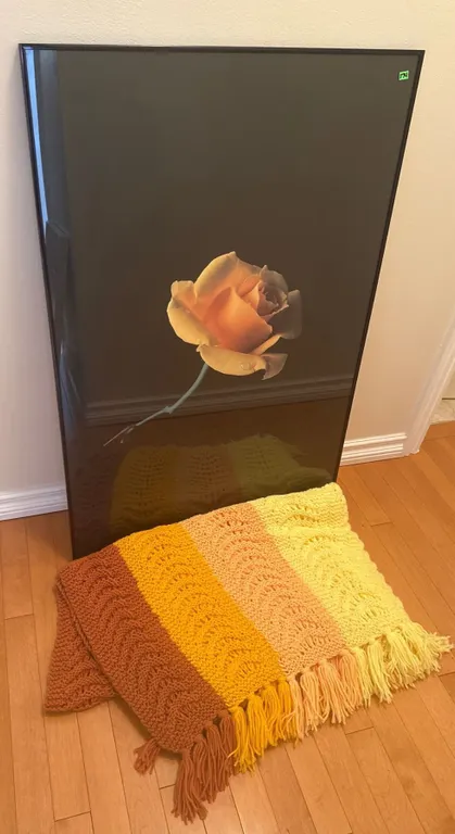 Framed Rose Print and Striped Crochet Blanket Set