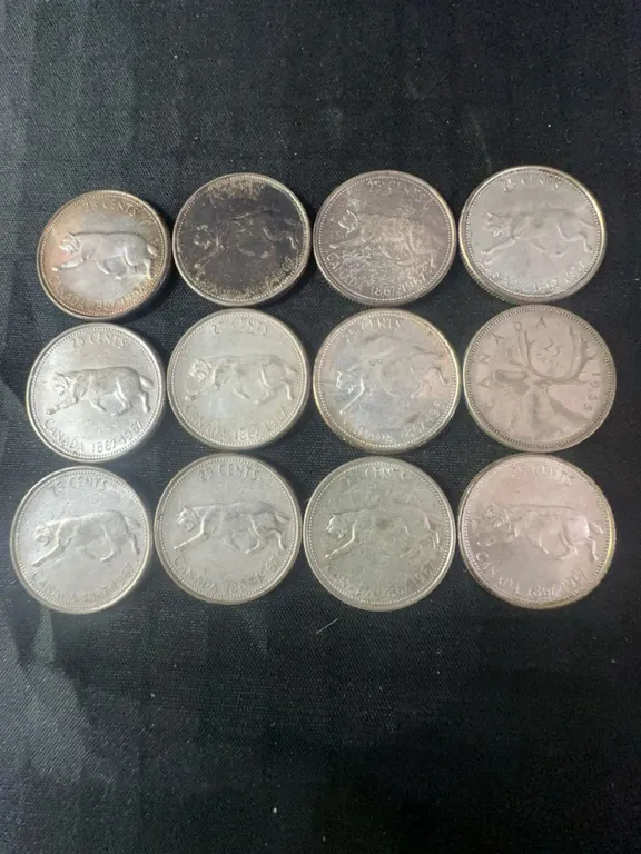 12 Canadian .800 Silver Quarters, 1.80 Troy Ounces, 70g
