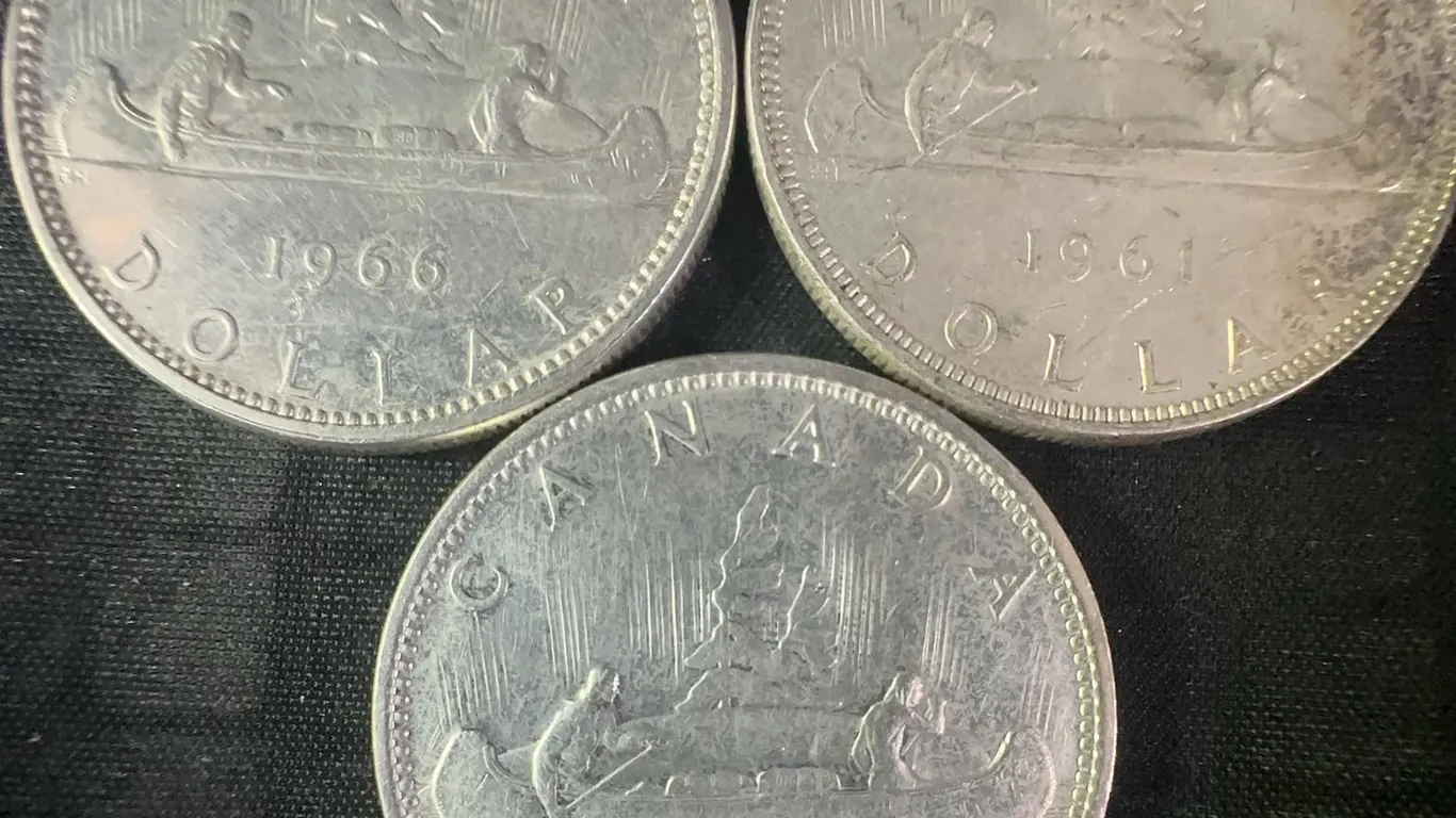 3 Canadian .800 Silver Dollars, 1966 and 1961, 70g Total