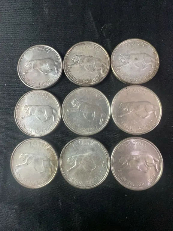 9 Canadian .800 Silver Quarters, 52g Total, Buffalo Reverse