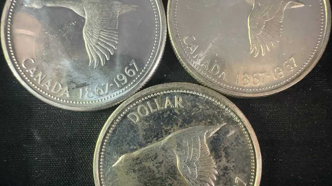 3 Canada 1867-1967 .800 Silver Dollar Coins, 70g Total
