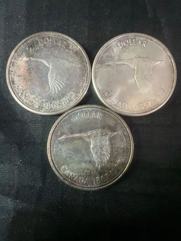 1967 .800 Silver Canadian Dollar Coins, 3 Pieces, 70g Total