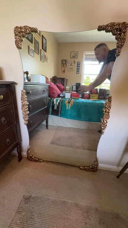 Large Ornate Wall Mirror with Decorative Gold Frame