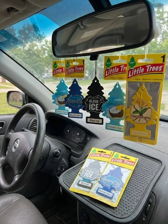 8 Little Trees Car Air Fresheners