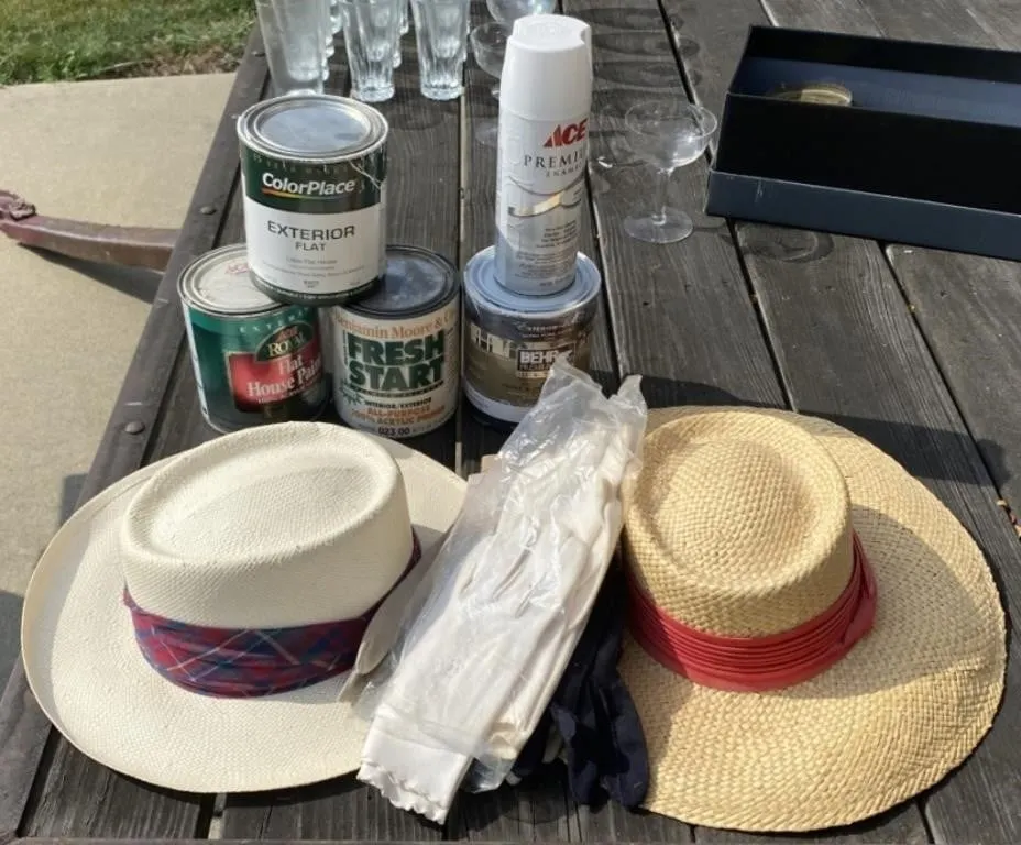 Paint, Sun Hat, Ladies Gloves