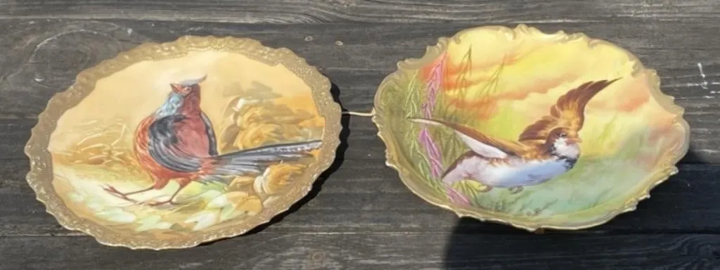 2 - Bird Plates