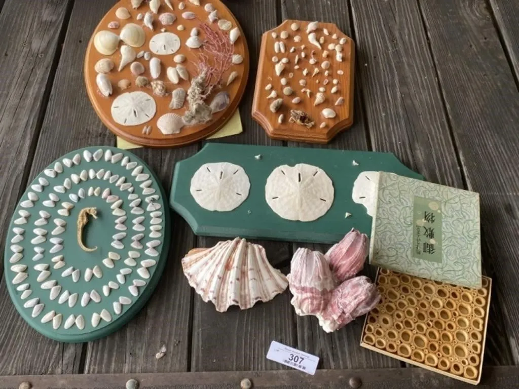 Trivet and Seashells