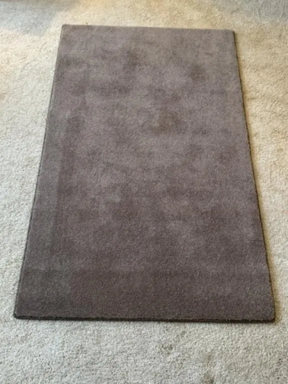 3' x 5' Rug