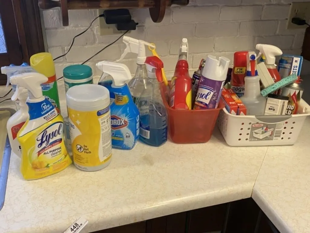 Large Lot of Cleaning Supplies