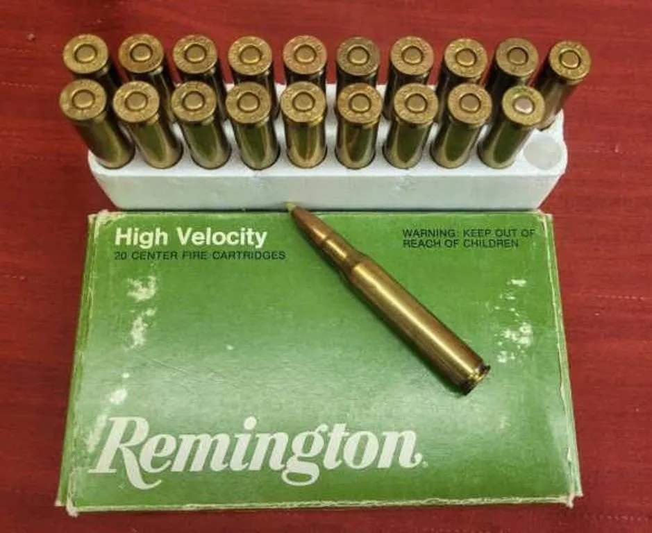 Remington .30-06 cal. Springfield 180 Grain Soft