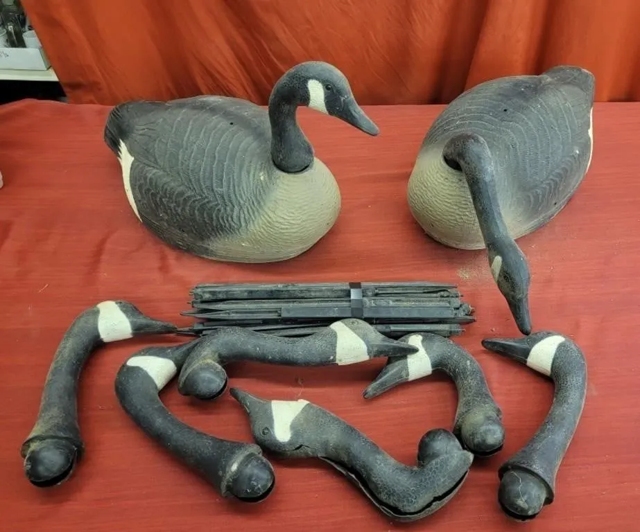 13 G&H 'The Henryettan' Decoys