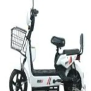 Two-Wheeled Electric Vehicle - black