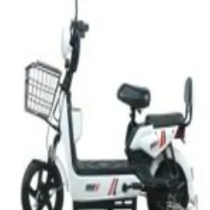 Two-Wheeled Electric Vehicle - blue