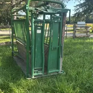 Cattle head gate and squeeze
