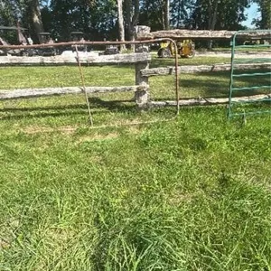 14 foot wire gate