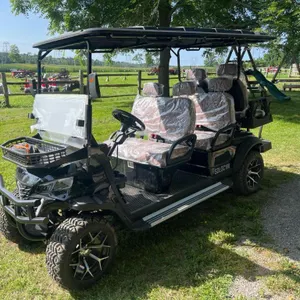 6-seater electric golf cart - crack in winshield