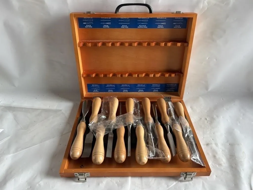 Wood Carving Chisel & Gouge Set in Wooden Case