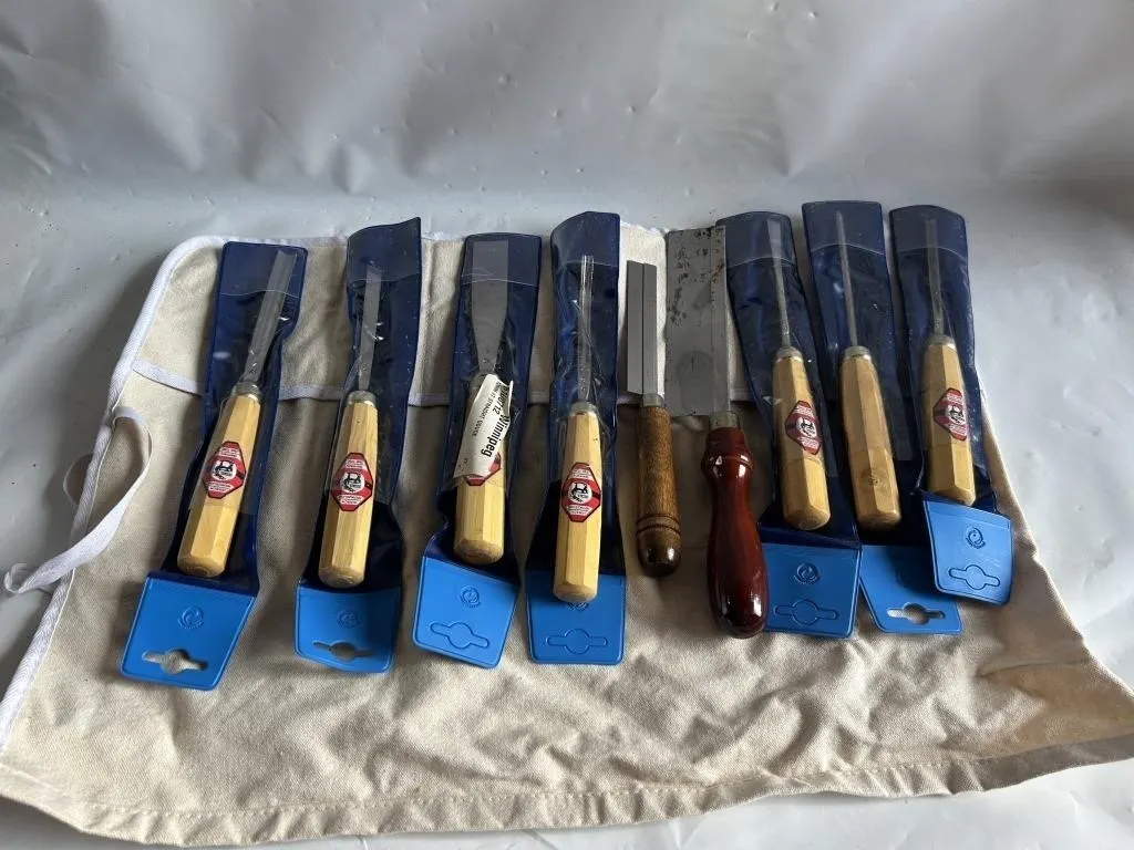 Wood Carving Chisel/Gouge Set with Canvas Roll
