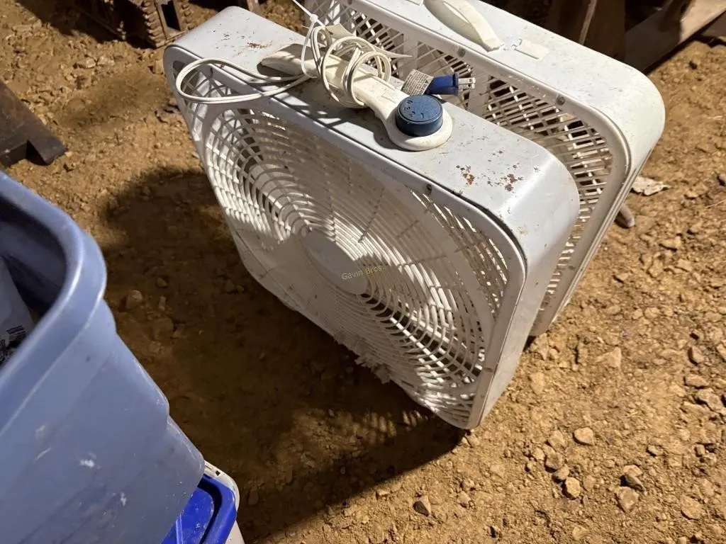 Box Fans