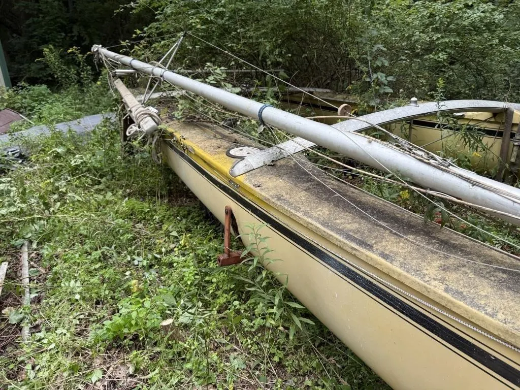 Hobie Cat Sail Boat w/Sail